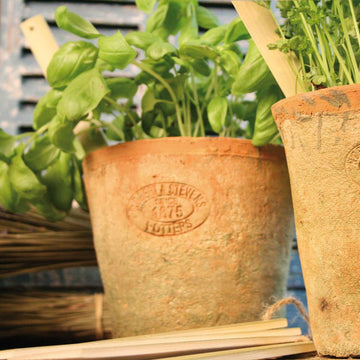 Terracotta Pot