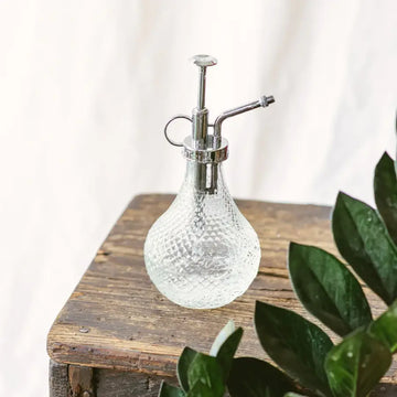 Plant Mister - Clear Glass