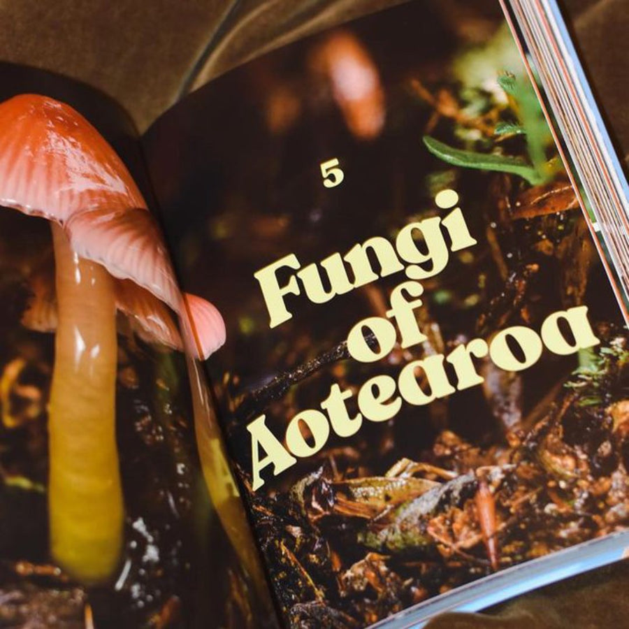 Fungi of Aotearoa