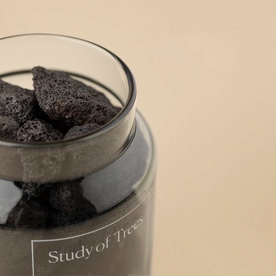 Scented Volcanic Rock Set - Study of Trees