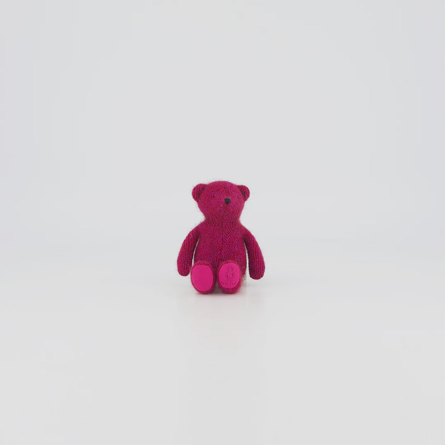 Dear Ted - Tiny Ted Raspberry sitting