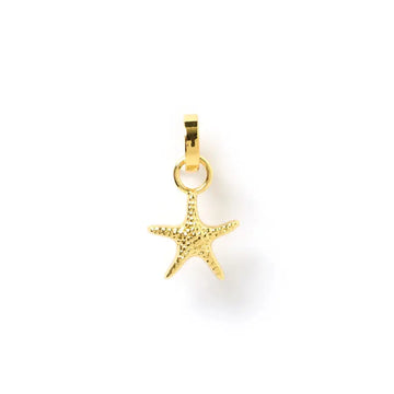 Charm - Sea Star