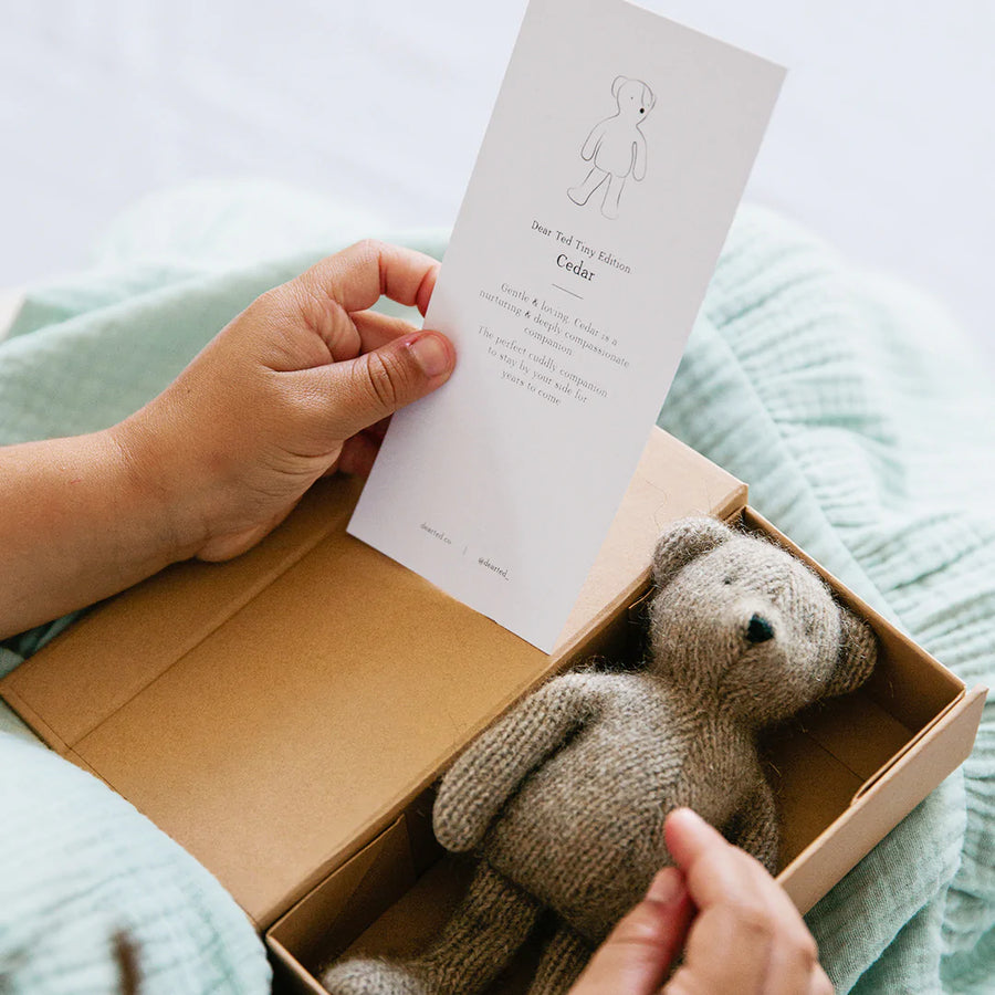 Dear Ted - Tiny Ted Cedar boxed with story card