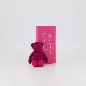 Dear Ted - Tiny Ted Raspberry with box