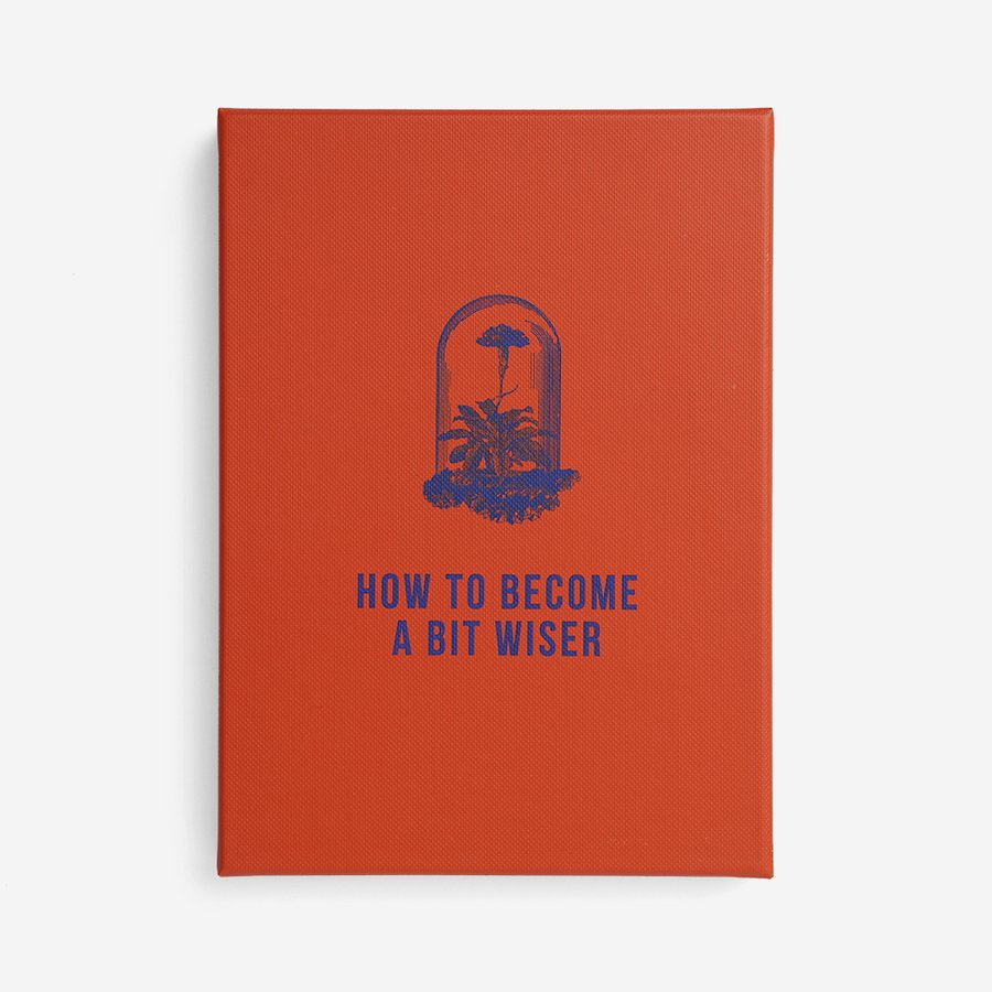 How To Become a Bit Wiser Card Set